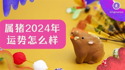 属猪2024